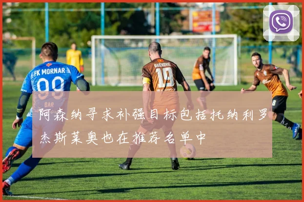 阿森纳寻求补强目标包括托纳利罗杰斯莱奥也在推荐名单中